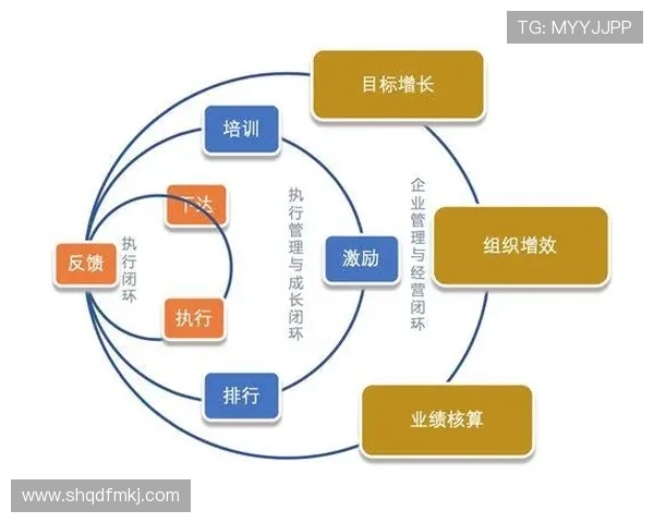 南京排球队团队协作表现的数据分析与提升策略探讨