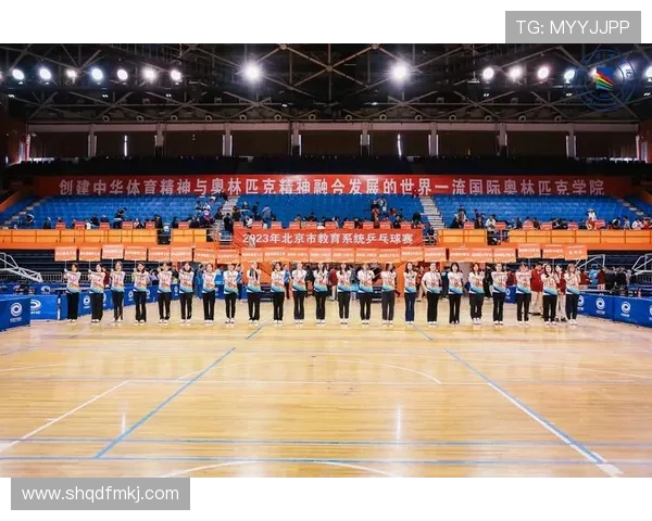 深圳乒乓球队的运营模式与发展策略深度解析